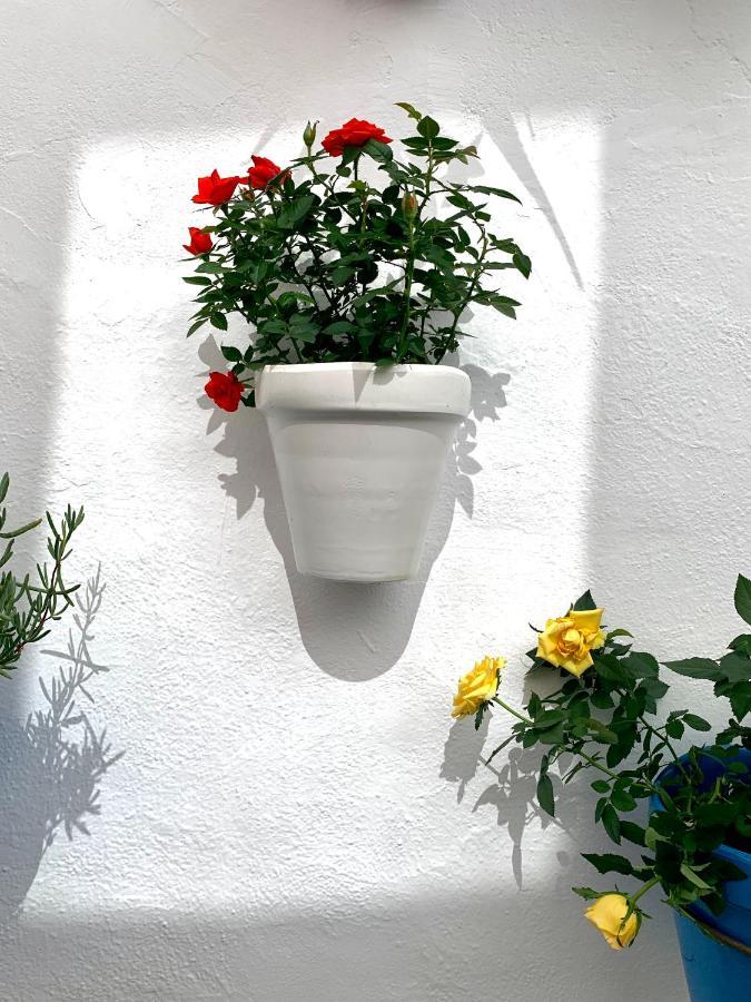 Casa Rural Les Avies Cerca Del Mar La Nucía Exteriör bild